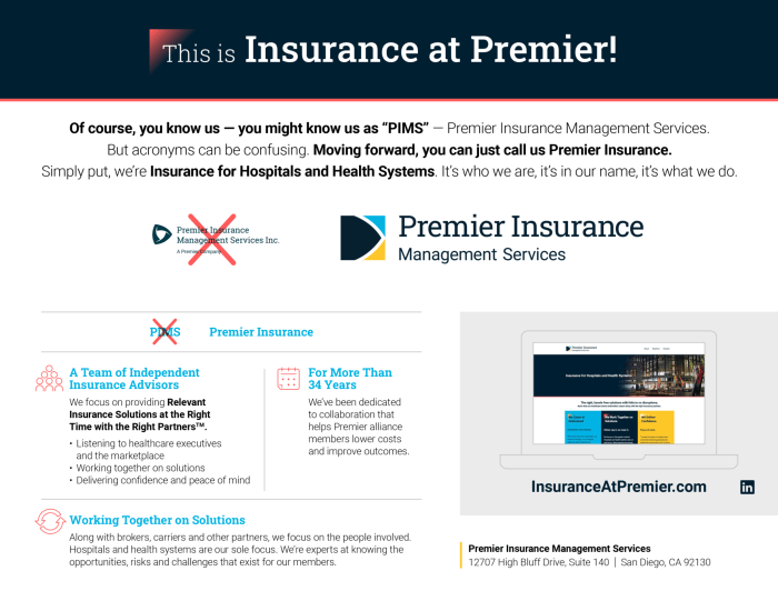 Online Check Premier Insurance Car and Auto Insurance Plan | PakWheels