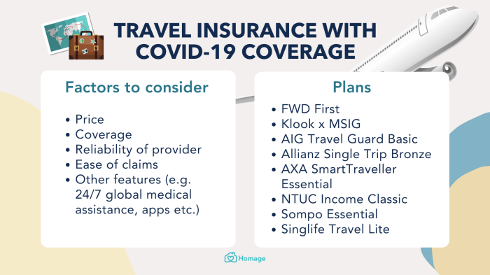 Best Travel Insurance in Singapore with Covid-19 Coverage - Homage