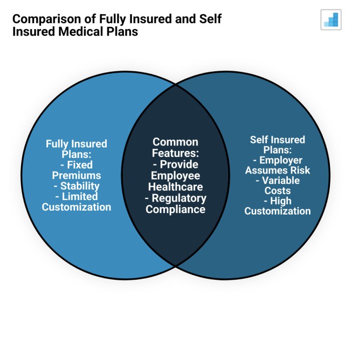 The Health Plan Showdown: Fully Insured vs. Self Insured | NPA Benefits