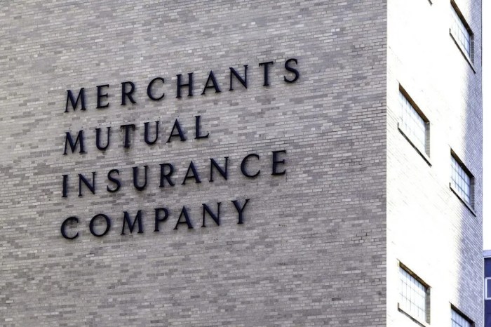 Mutual Insurance Company - Overview, History, Examples